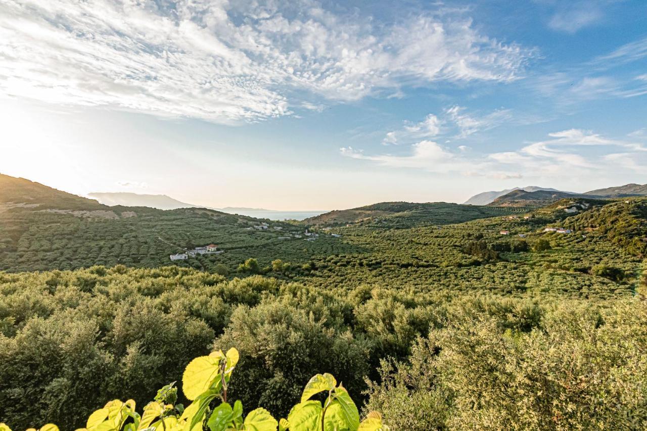 Rikanthos Stone Sea View Apartment Ι Faleliana Exterior photo